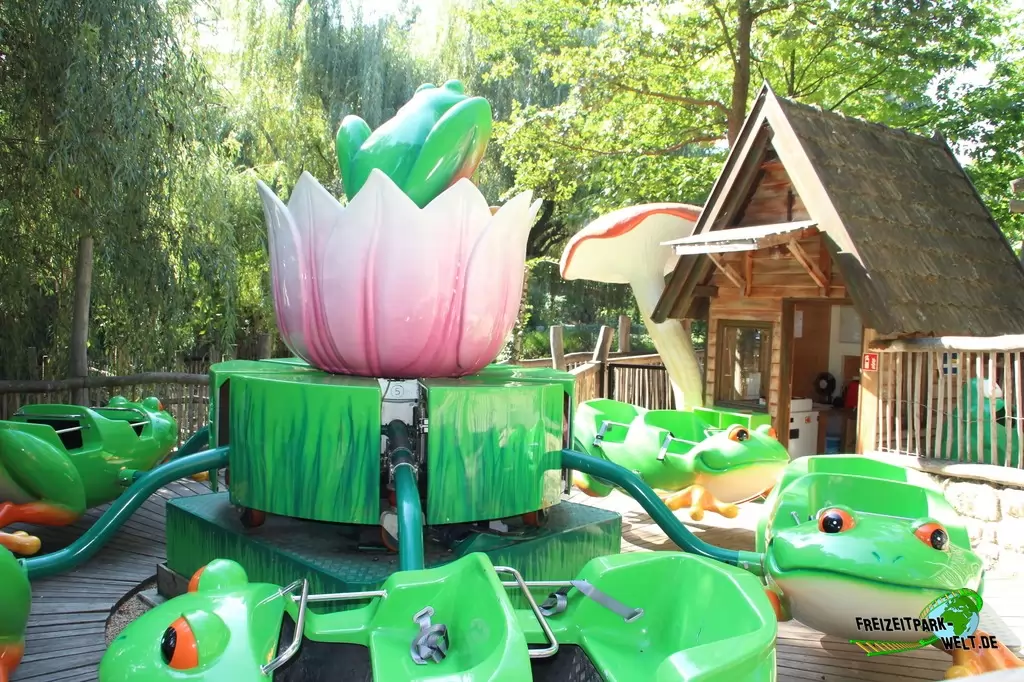 Froschhüpfer im Familypark - 2020