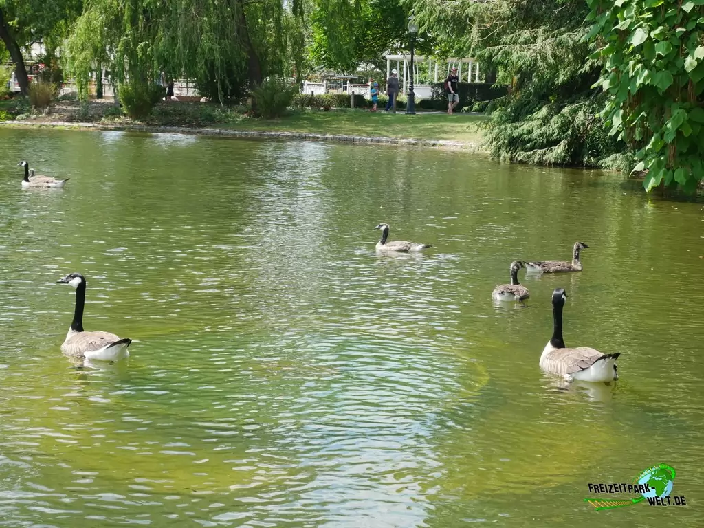 Floßfahrt im Heide Park Resort - 2020