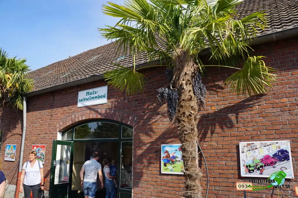Mais-Schwimmbad im Irrland - 2019