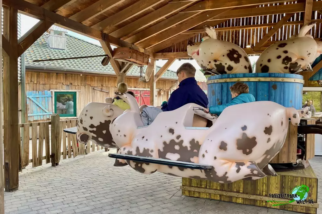 Schweine-Rondell im Jaderpark - 2022