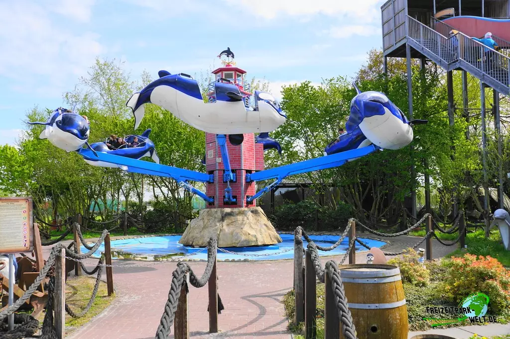 Bienenflug im Jaderpark - 2022