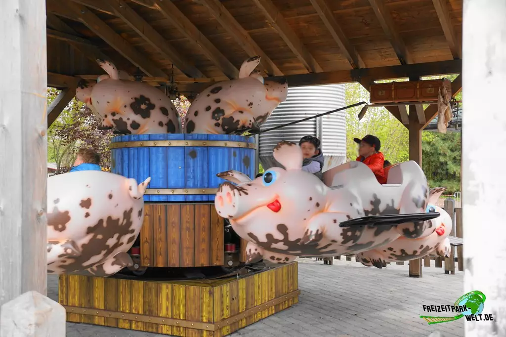 Schweine-Rondell im Jaderpark - 2022