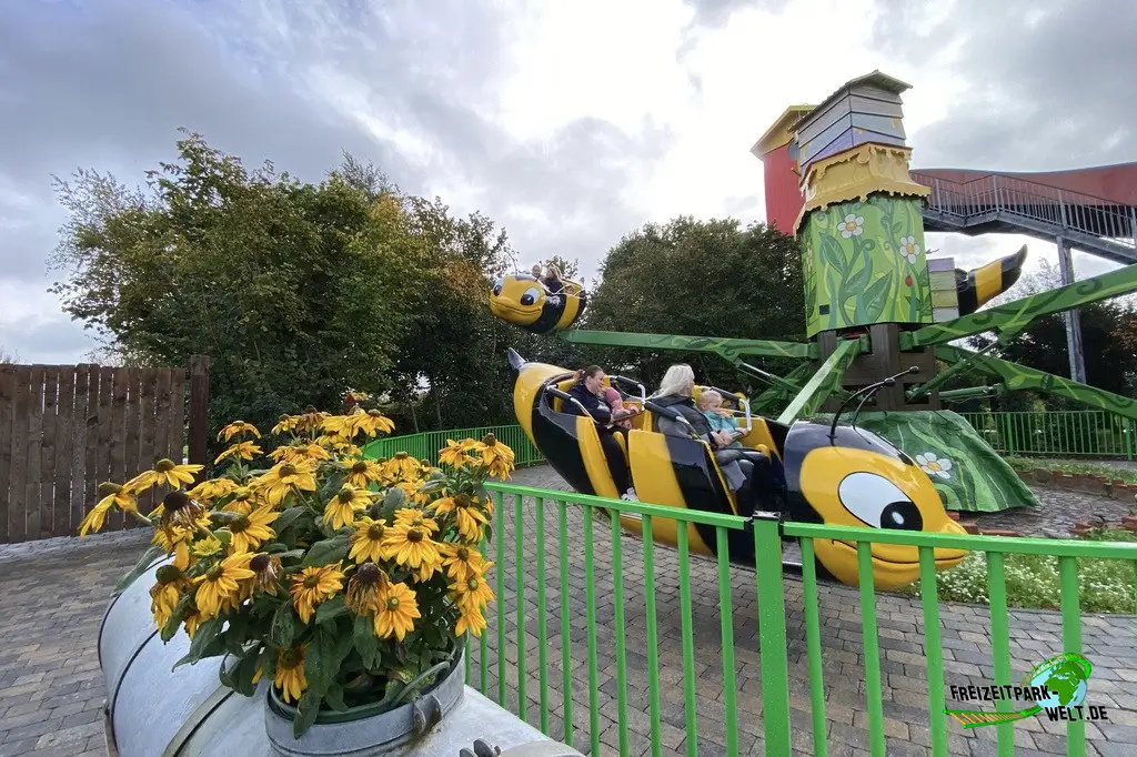 Bienenflug im Jaderpark - 2025