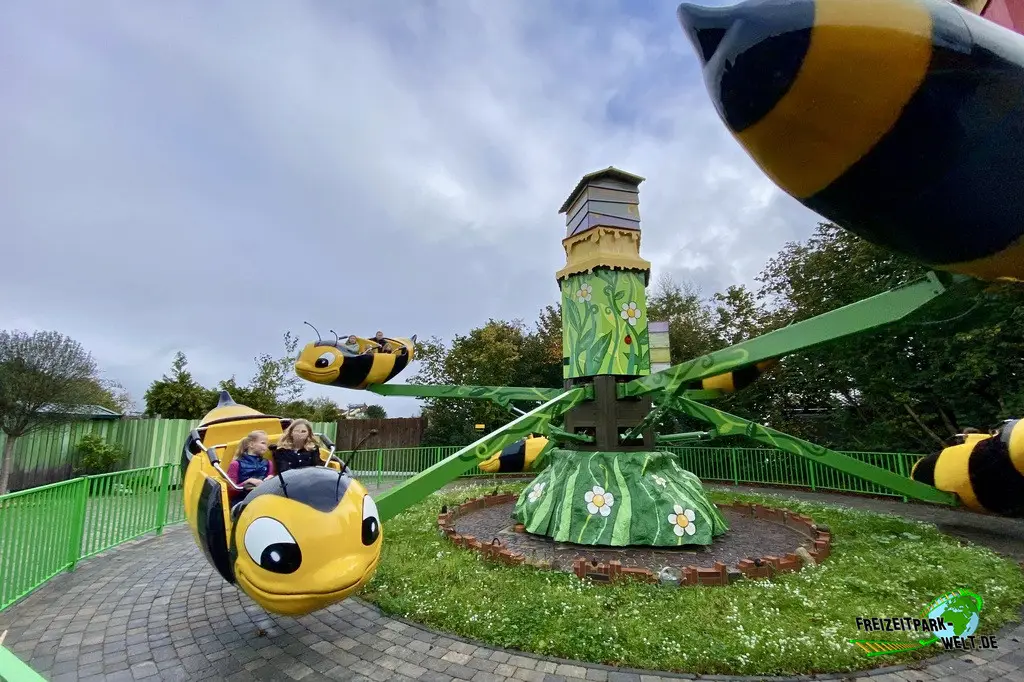 Bienenflug im Jaderpark - 2025