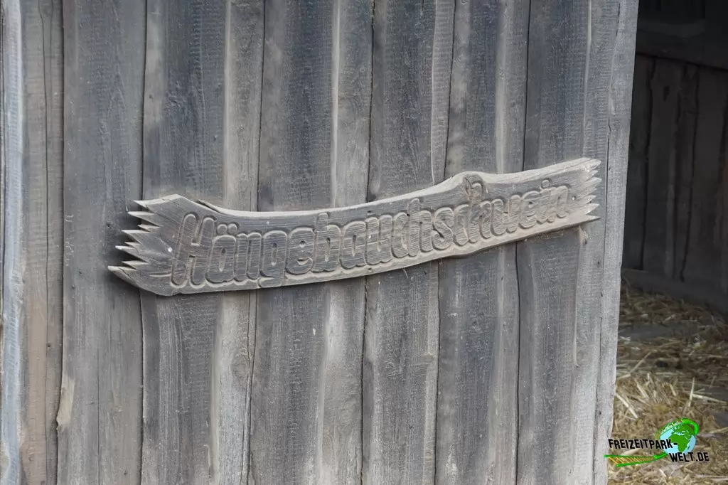 Vietnamesisches Hängebauchschwein im Wild- und Freizeitpark Klotten - 2020