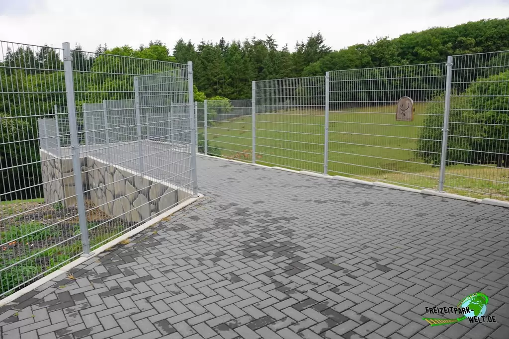 Steinbock im Wild- und Freizeitpark Klotten - 2020