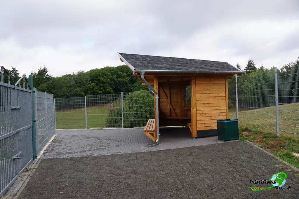 Steinbock im Wild- und Freizeitpark Klotten - 2020