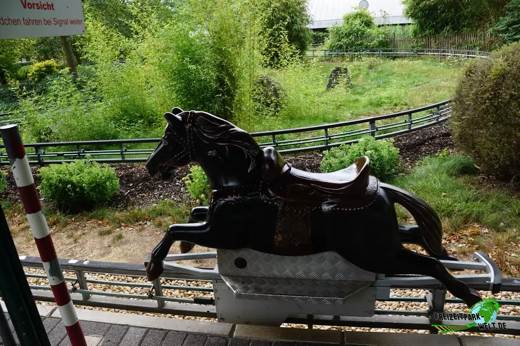 Reitbahn im Wild- und Freizeitpark Klotten - 2020