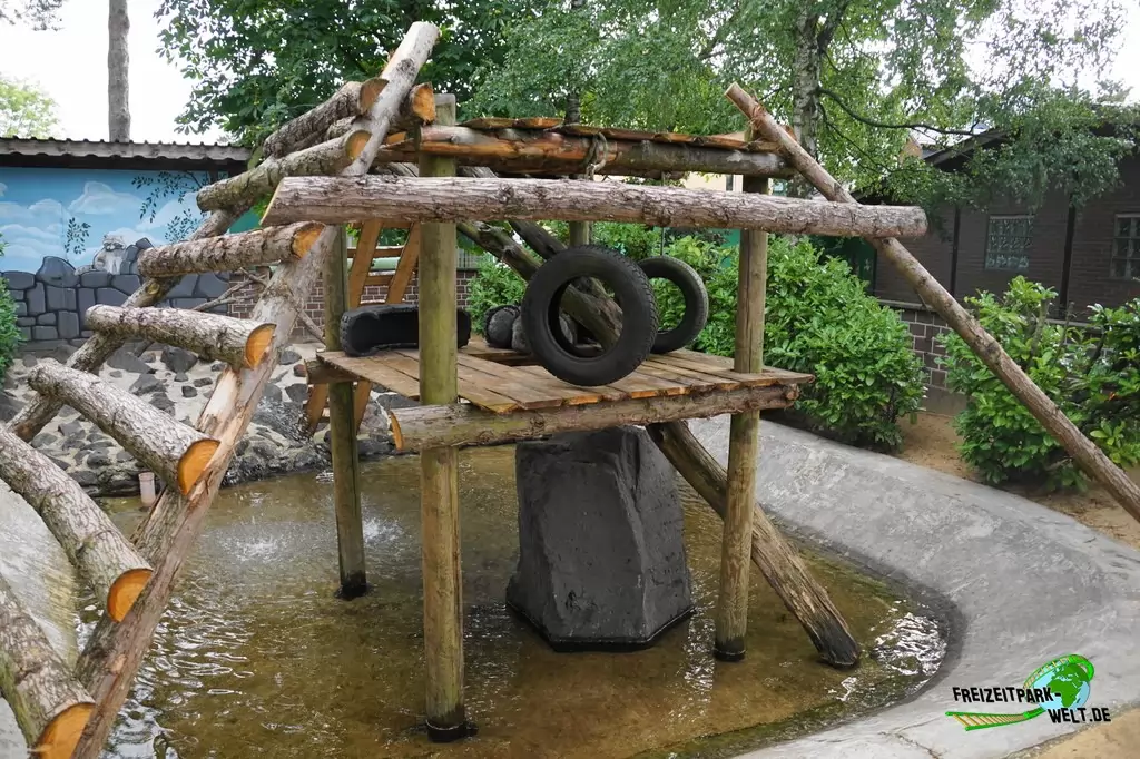 Waschbär im Wild- und Freizeitpark Klotten - 2020