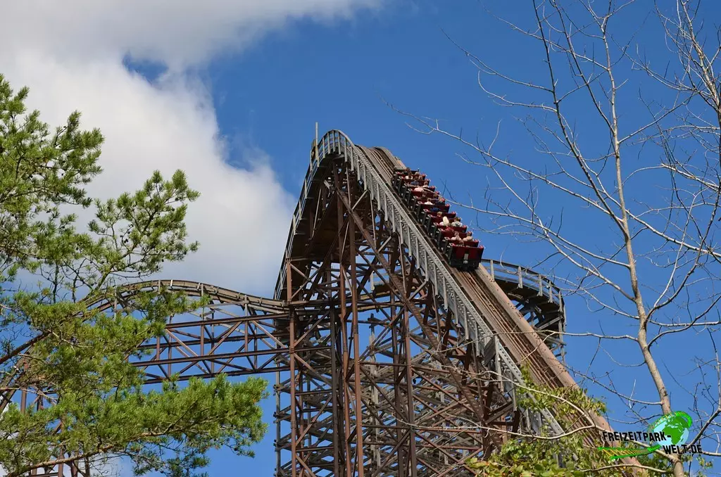 Asiatischer Elefant in Kolmården - 2022