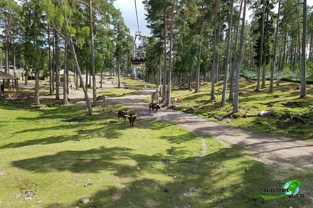 Safari in Kolmården - 2022