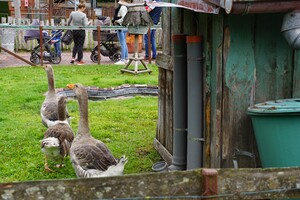 Mini-Galerie LandErlebnis Janßen Westerstede Foto 1
