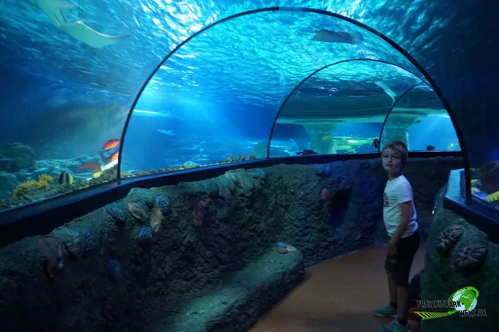 LEGOLAND Atlantis by Sea Life im LEGOLAND® Deutschland - 2022