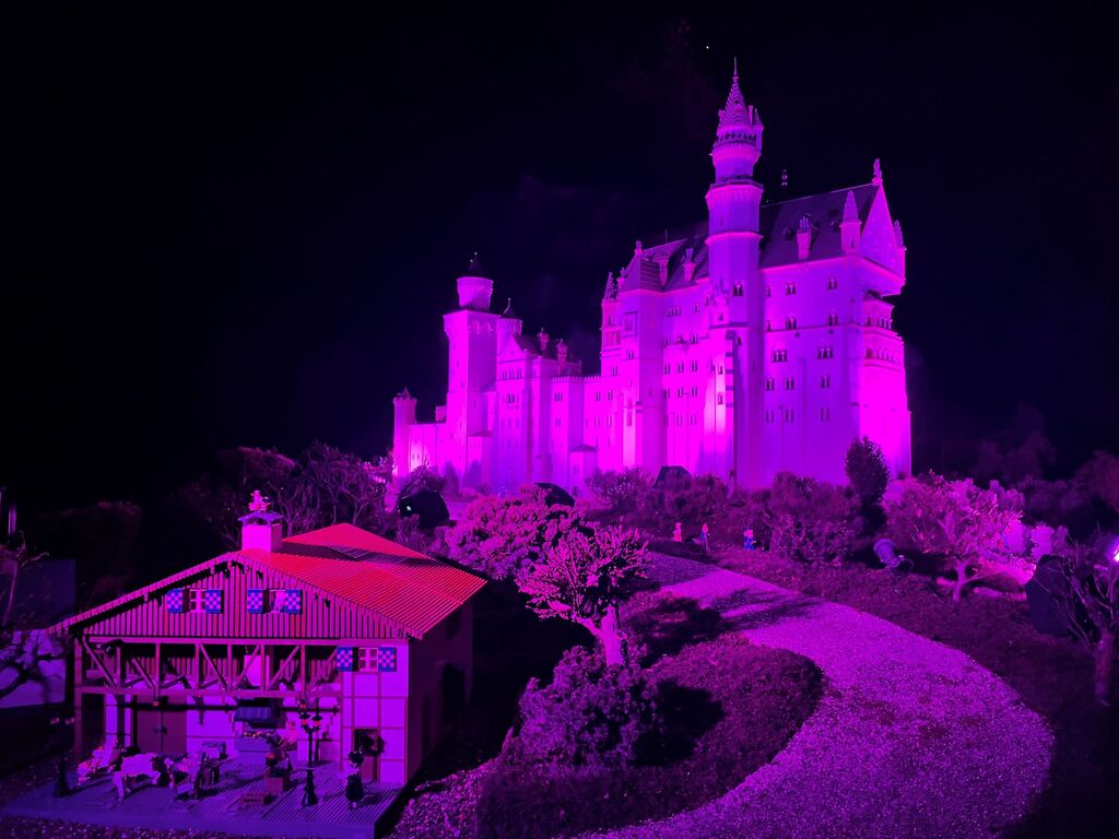 03_lld_purple_light_up_miniland.jpg