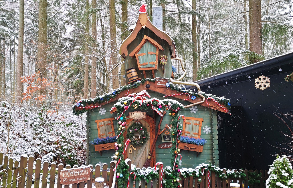 MPV_Winter 2026-2027_09.jpg