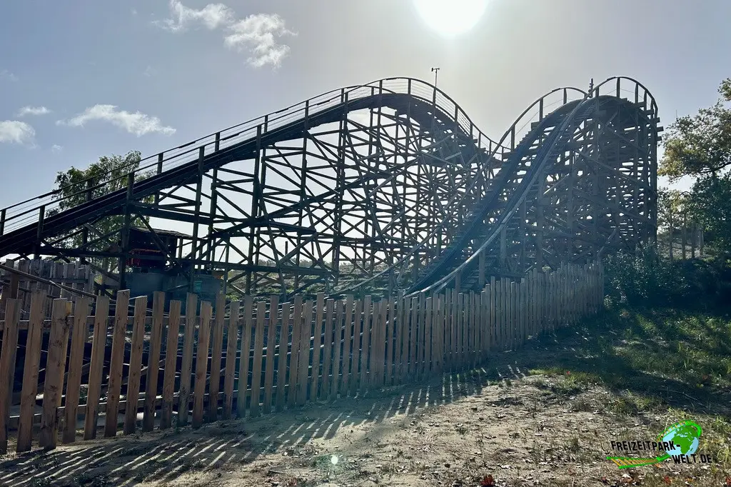 Wild Buffalo in Mer de Sable - 2025