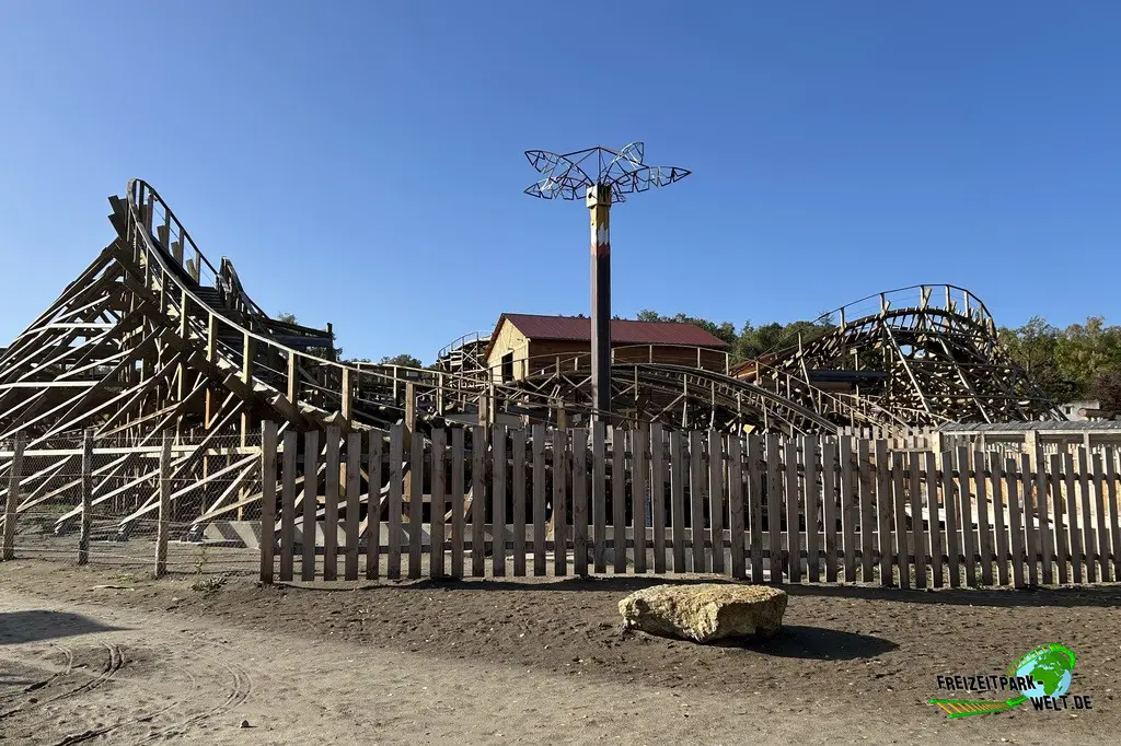 Wild Buffalo in Mer de Sable - 2025