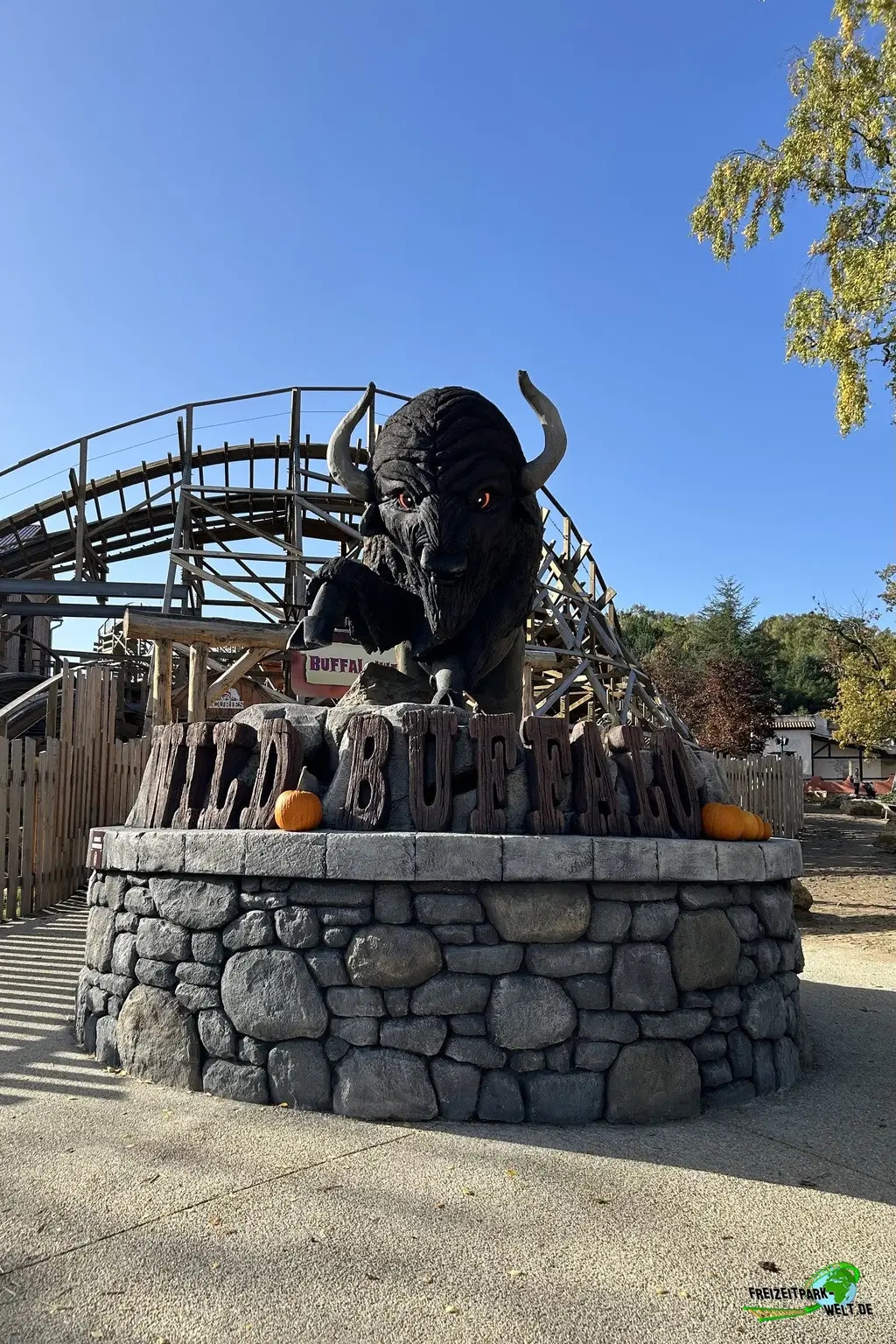 Wild Buffalo in Mer de Sable - 2025