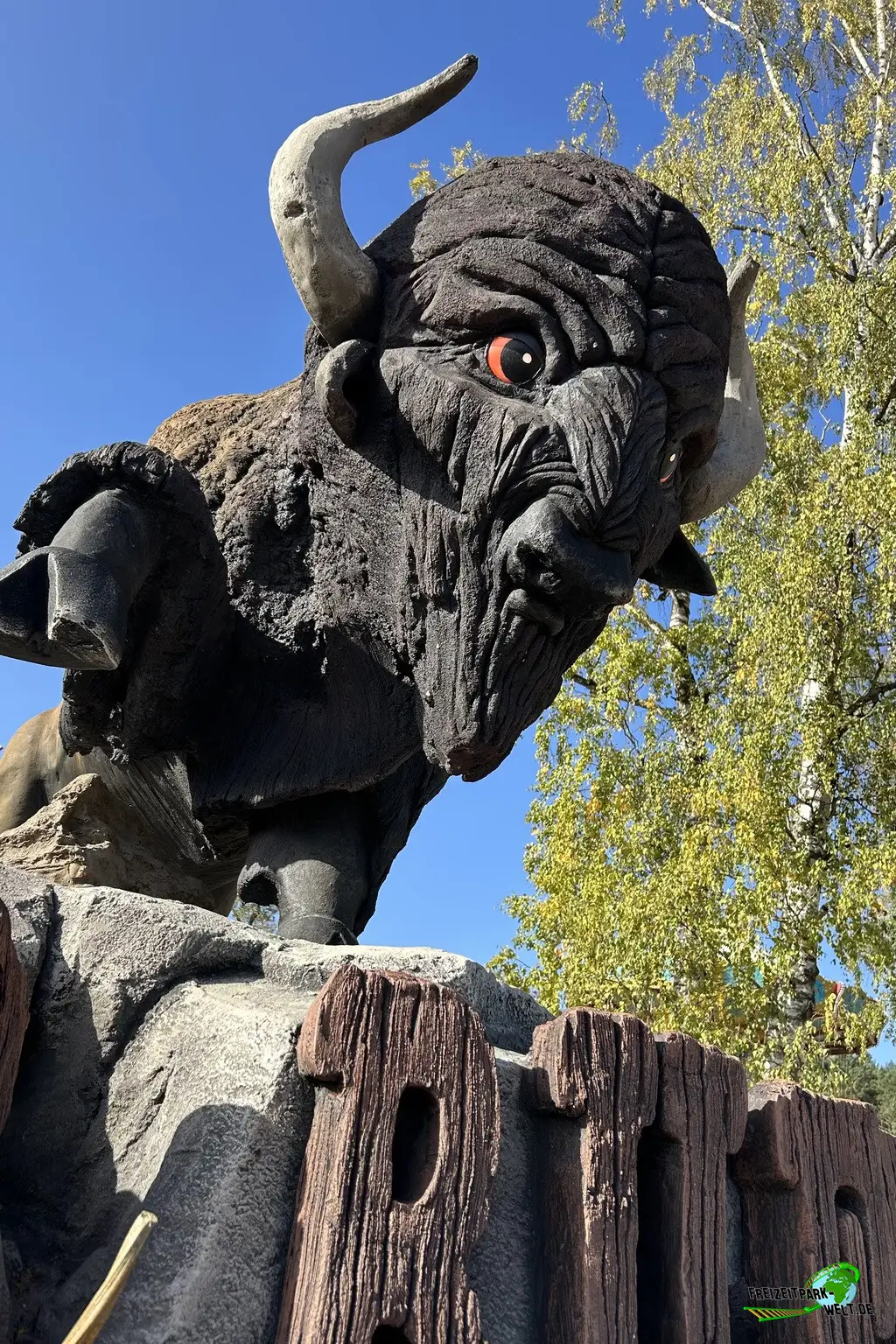 Wild Buffalo in Mer de Sable - 2025
