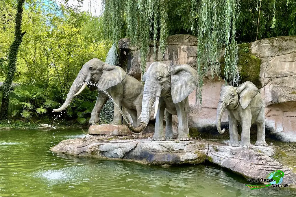Africa Cruise im Nigloland - 2022