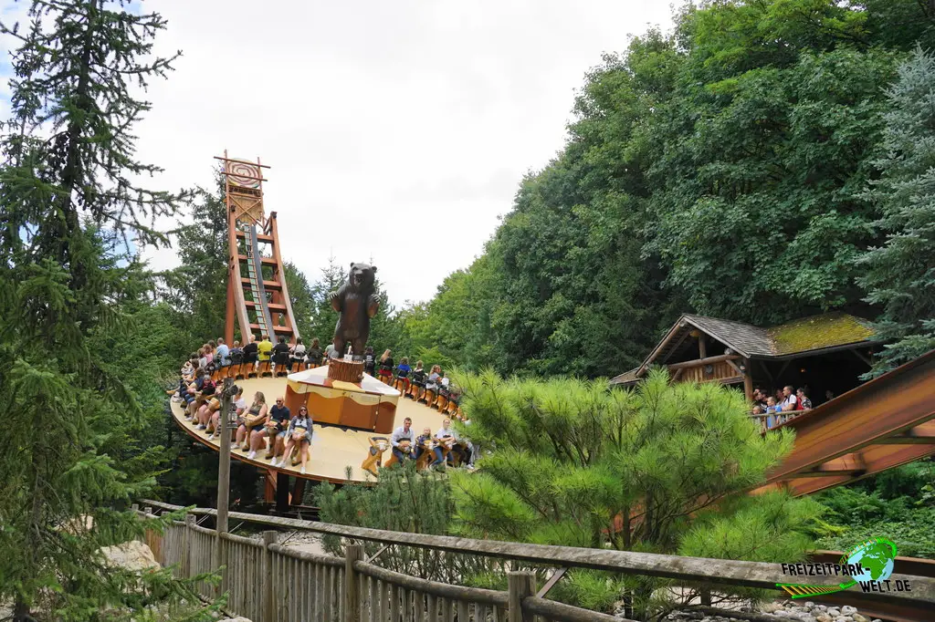 Grizzli im Nigloland - 2022