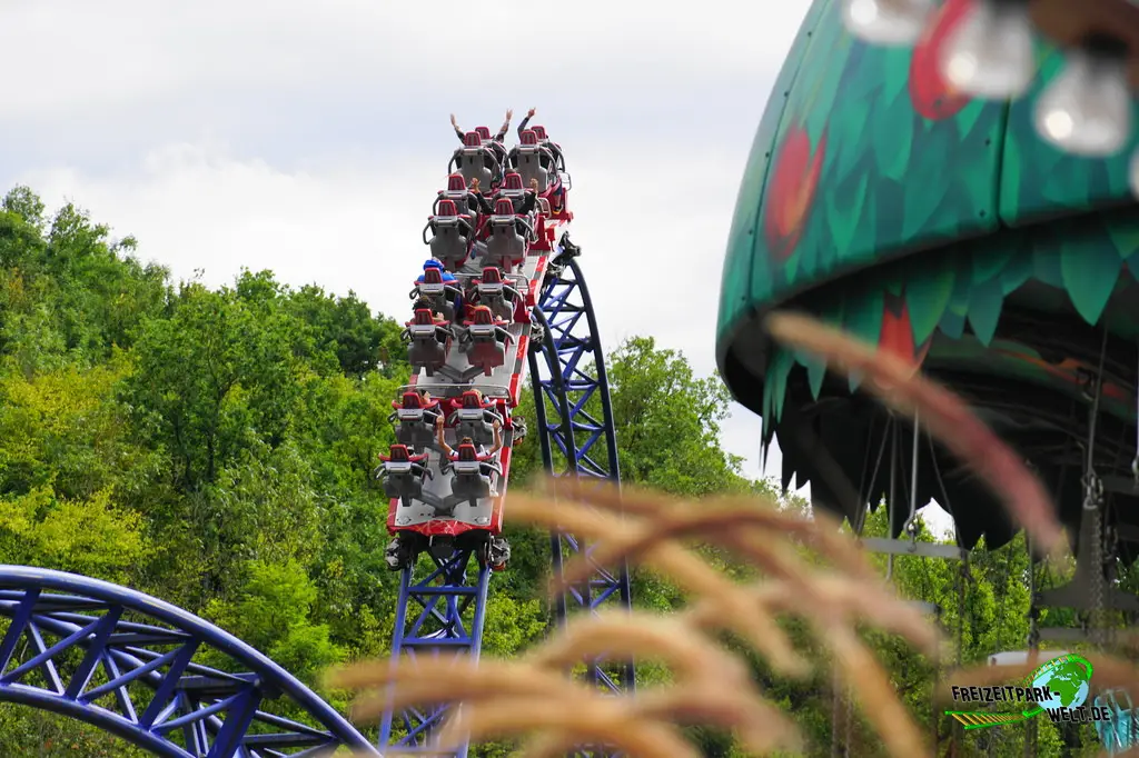 Alpina Blitz im Nigloland - 2022