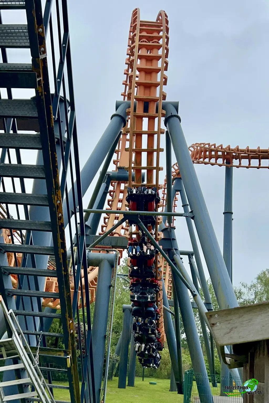 Triops im Parc Bagatelle - 2024