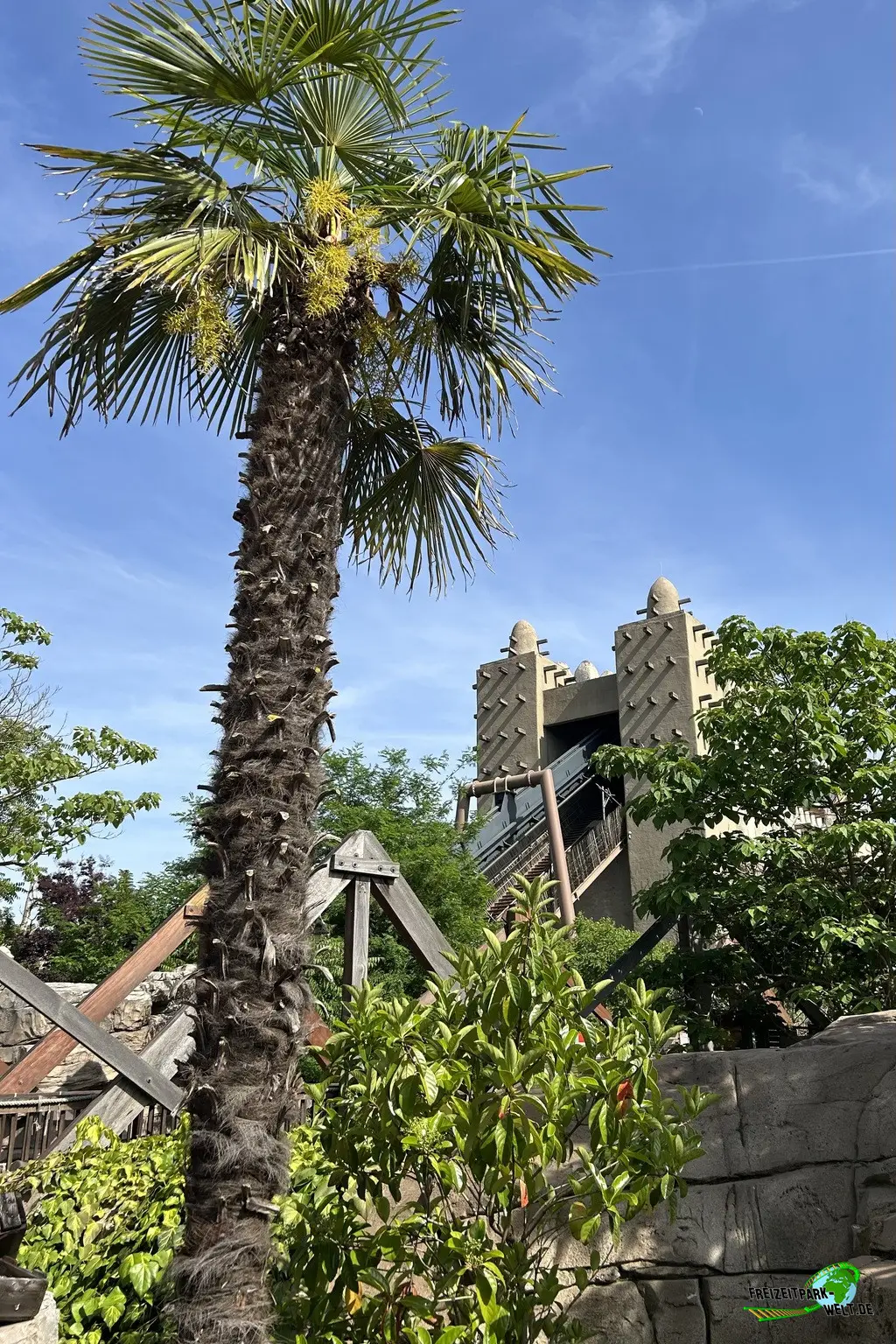Black Mamba im Phantasialand - 2025