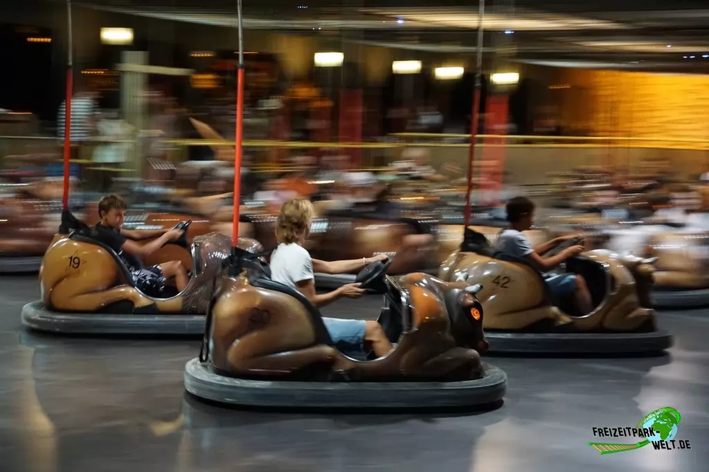 Wild Buffalos in Port Aventura - 2015