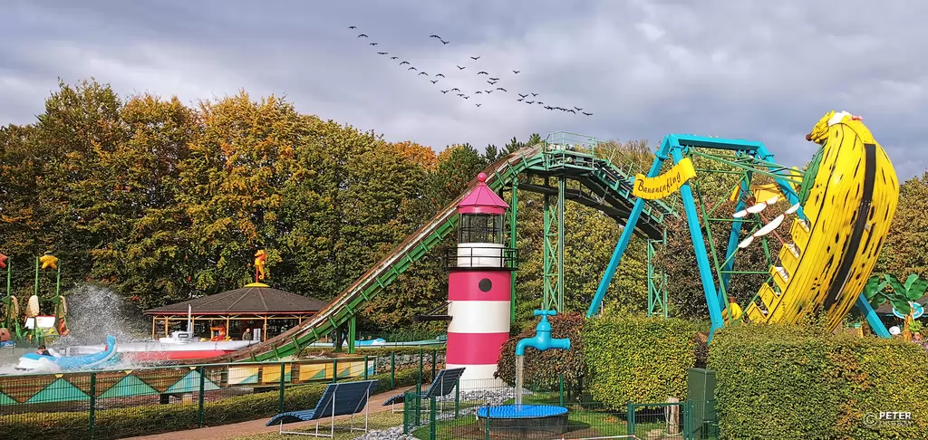 pottwal im potts park - 2020