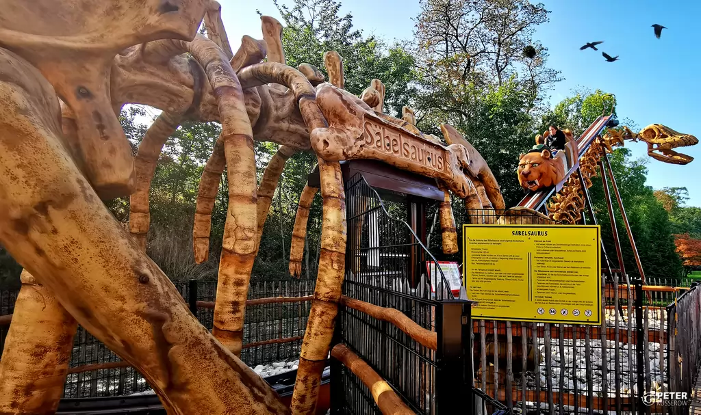 Säbelsaurus im potts park - 2020