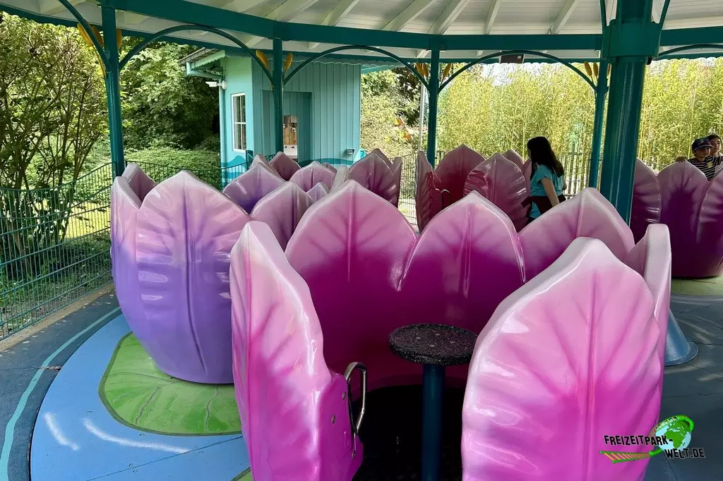 Seerosentanz im potts park - 2023