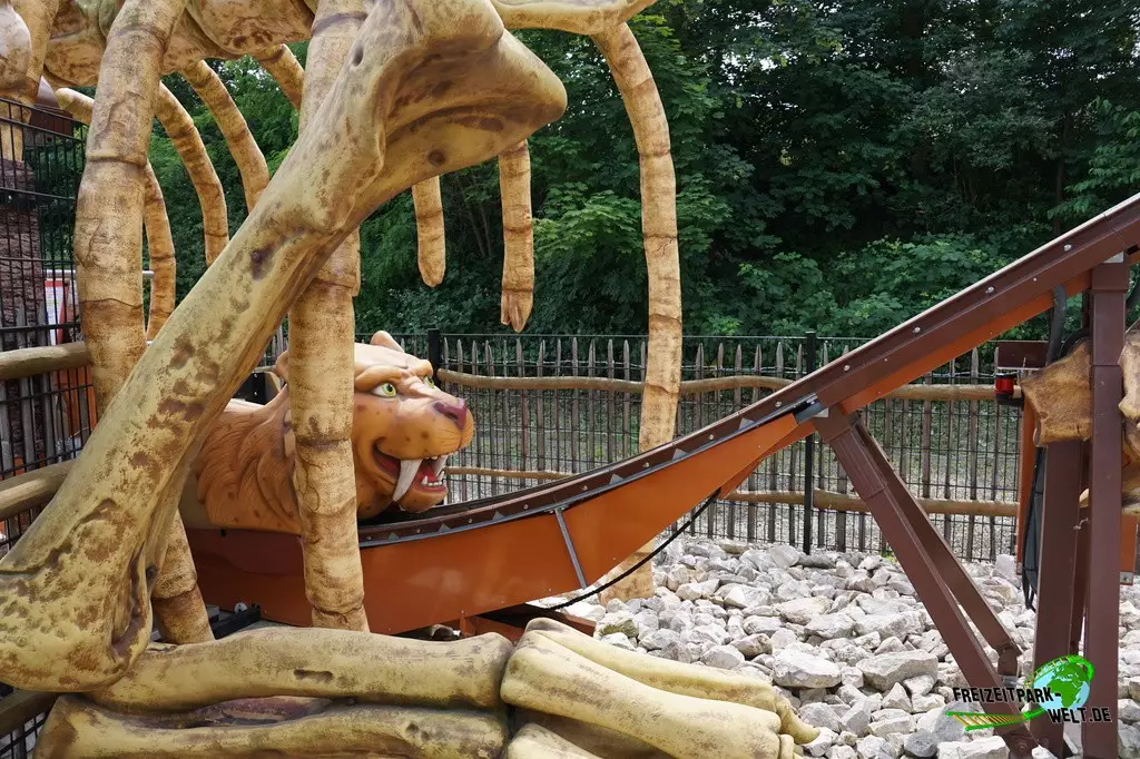 Säbelsaurus im potts park - 2023