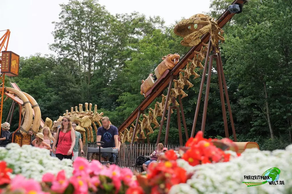Säbelsaurus im potts park - 2023