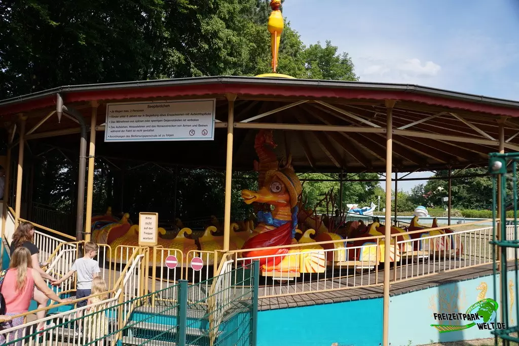 Seepferdchen im potts park - 2023