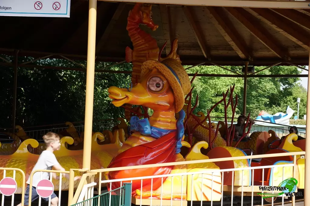 Seepferdchen im potts park - 2023