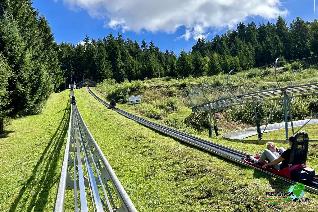 Bayerwald-Bob im Rodelbahn St. Englmar - 2023