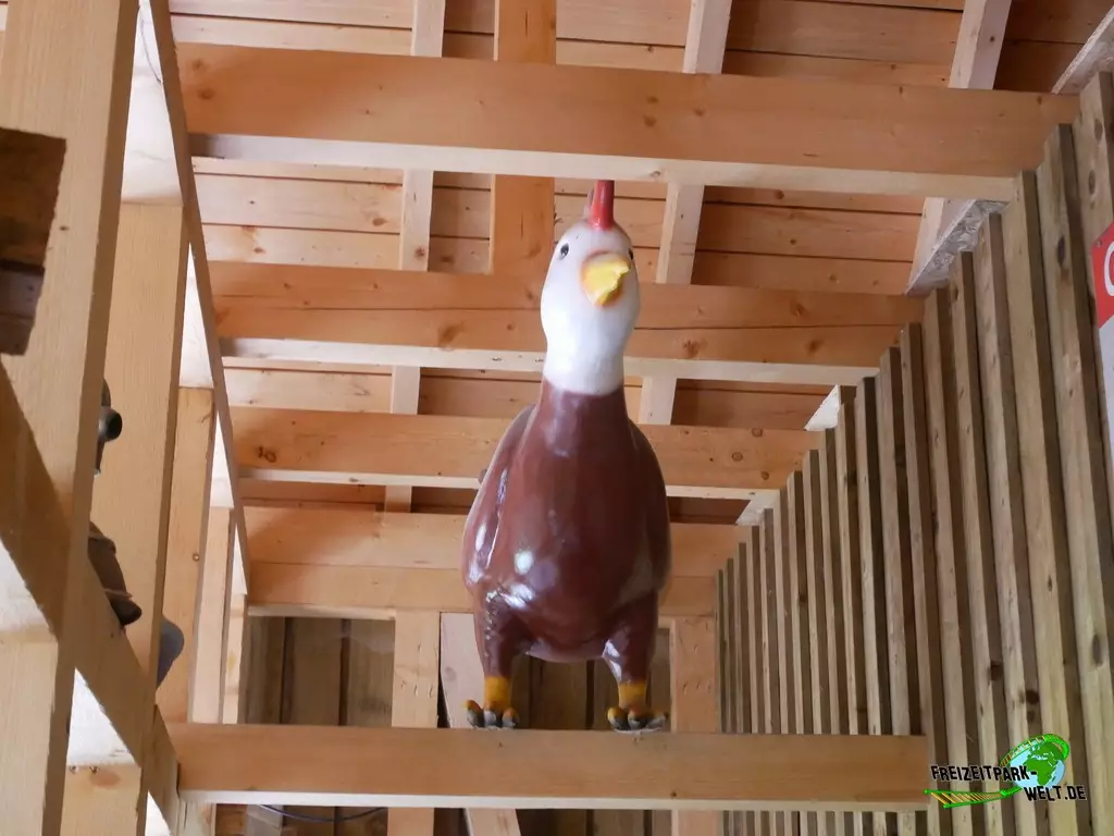 Wilde Hilde im Schwaben Park - 2022