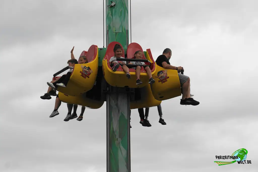 Verrückte Palme im Schwaben Park - 2023