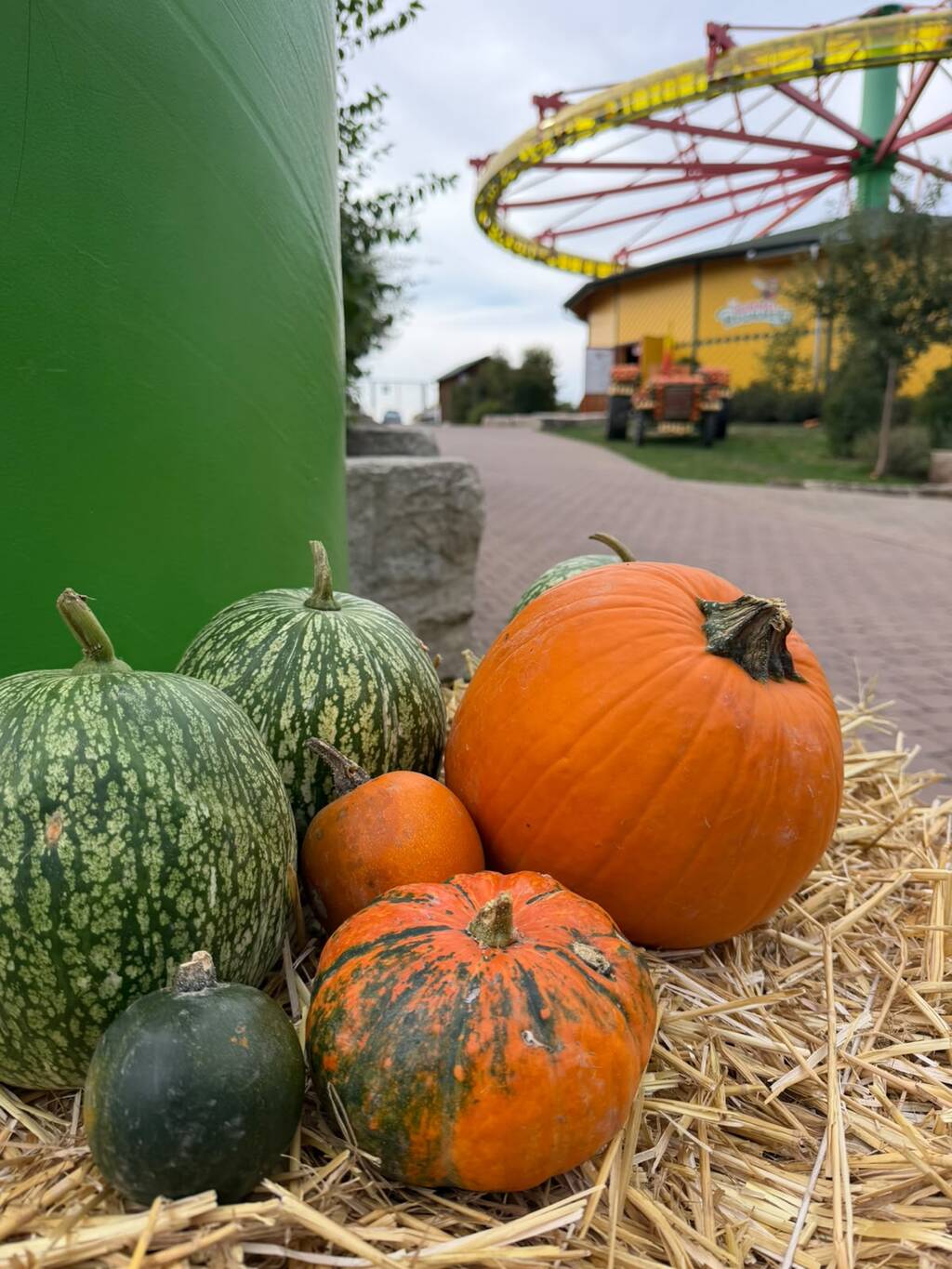 Schwaben_Park_Kürbiszauber.jpeg
