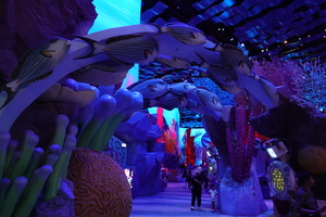 Mini-Galerie SeaWorld Abu Dhabi Foto 3