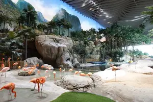 Zufälliges Bild aus Tropical Ocean