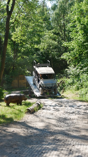 Mini-Galerie Serengeti-Park Foto 1