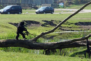 Serengeti-Park Galerie