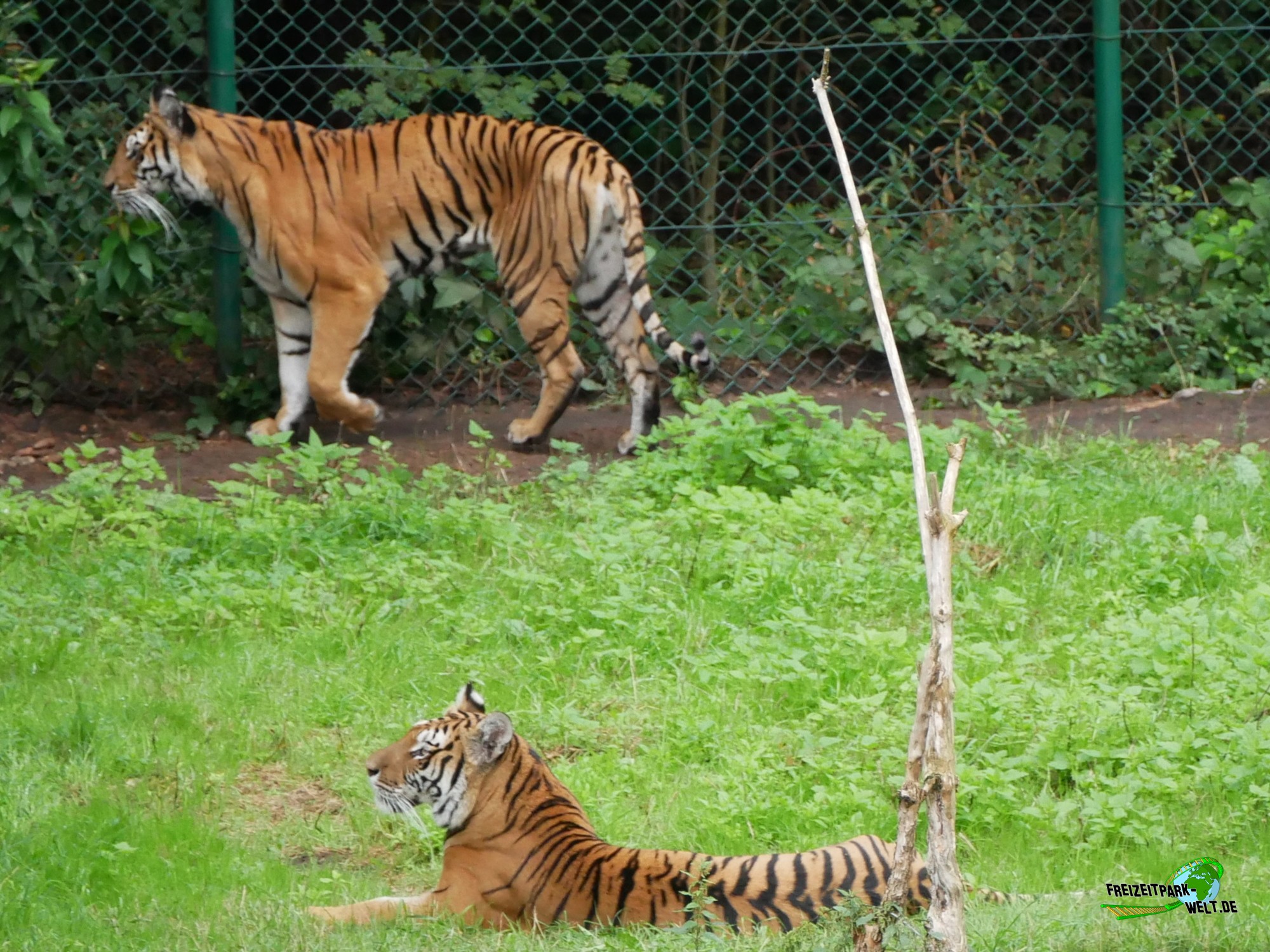 Serengeti Park Willkommen im SafariAbenteuer SerengetiPark