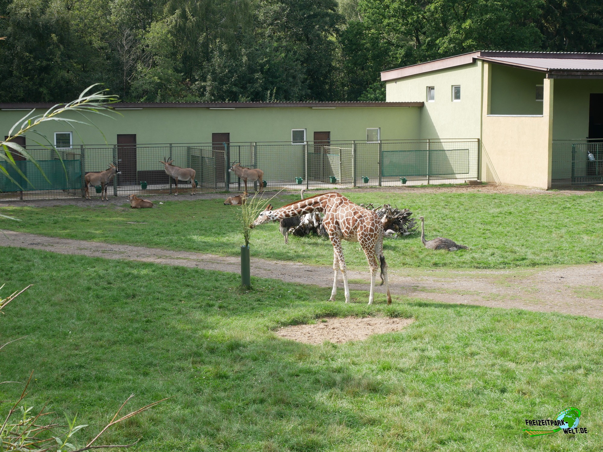 Serengeti Park - Willkommen im Safari-Abenteuer - Serengeti-Park
