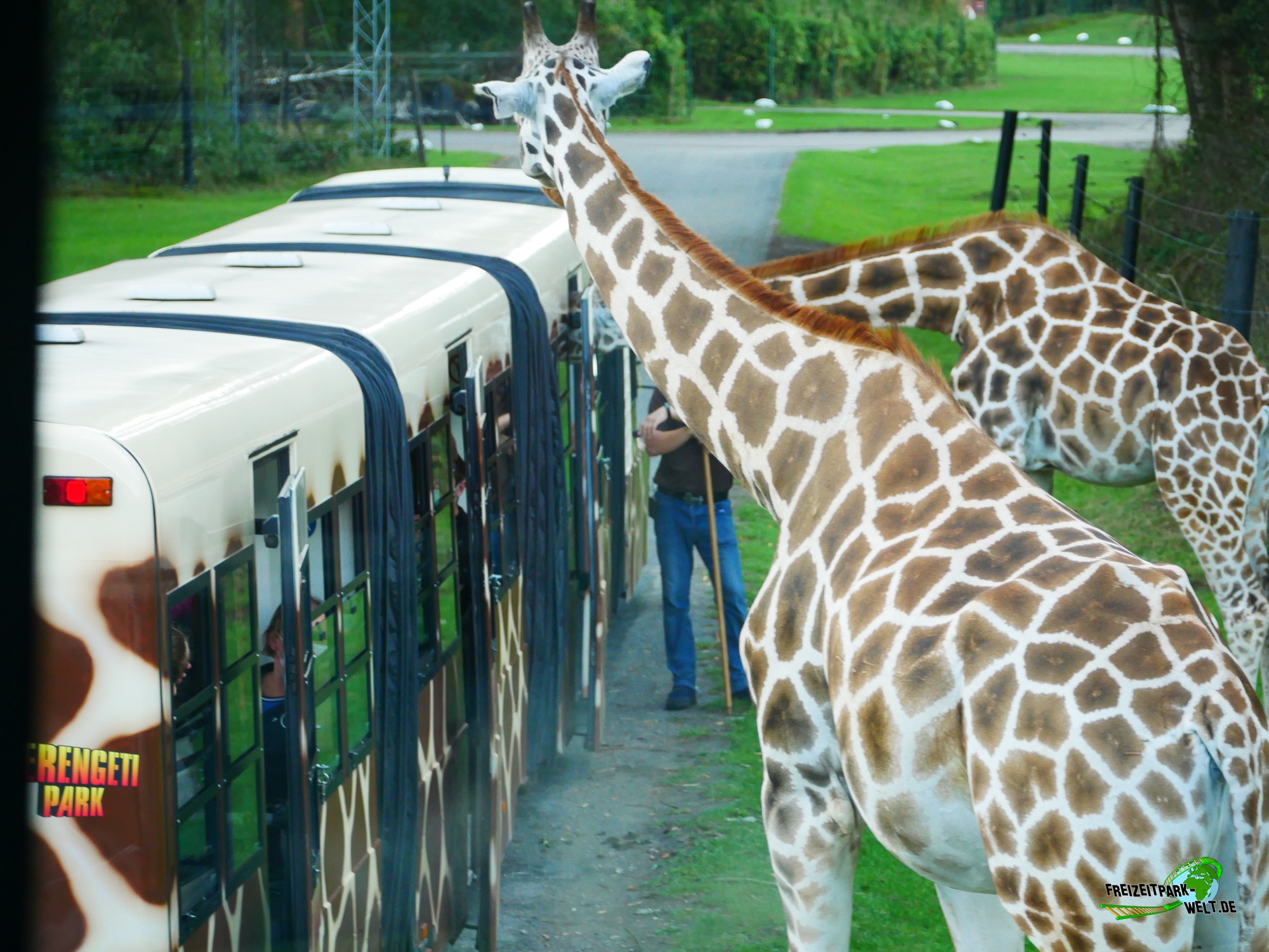 Was Ist Besser Safari Park Oder Serengeti Park Serengeti Park - Willkommen im Safari-Abenteuer - Serengeti-Park