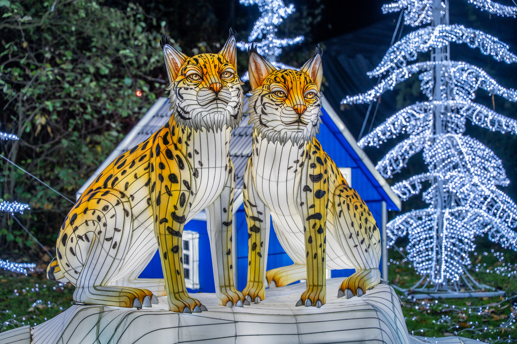 10 Serengeti-Park Lichterfestival 25-26.jpg