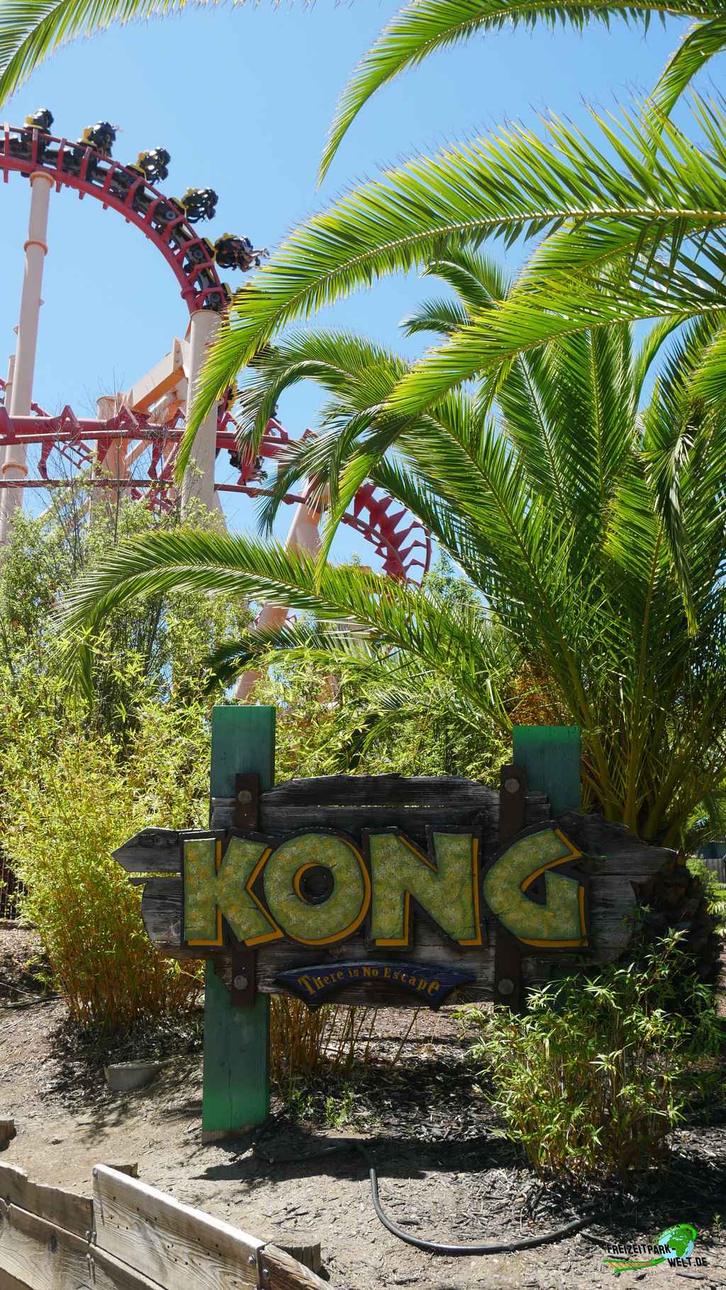Kong im Six Flags Discovery Kingdom - 2018