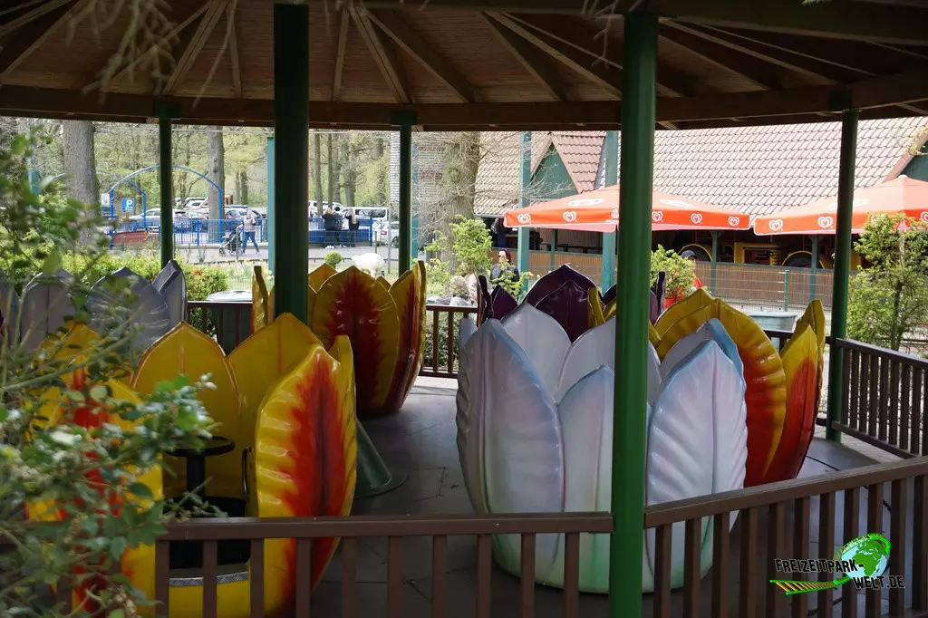 Blütenkarussell im Tier- und Freizeitpark Thüle - 2022